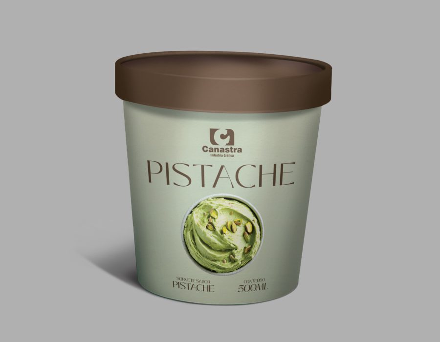 MOCKUP SITE PISCHE 2